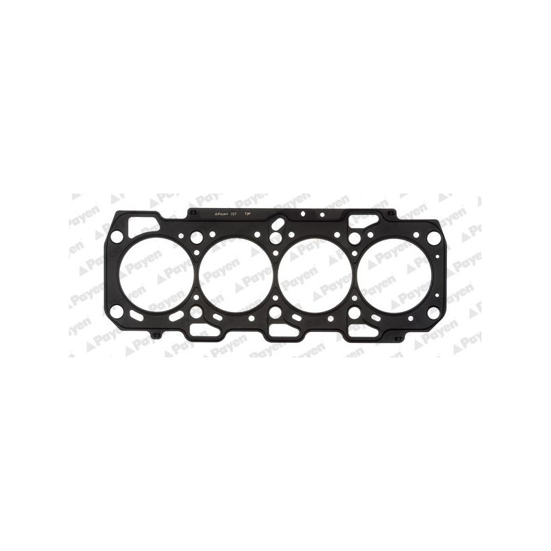 Guarnizione testata - PAYEN