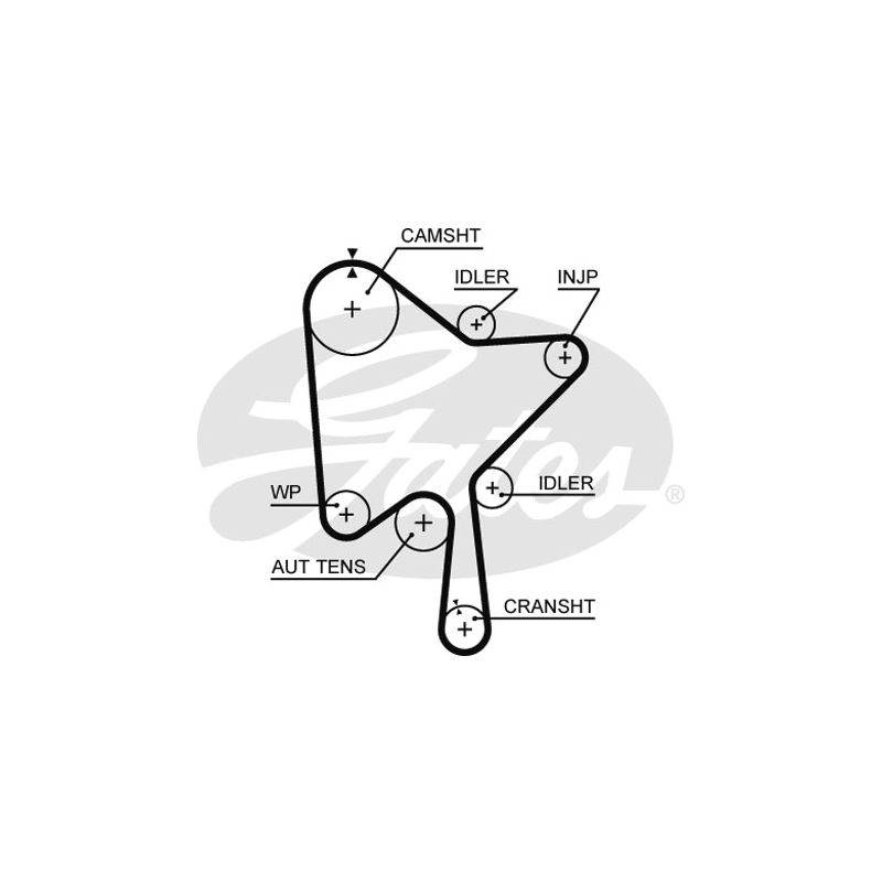 Kit distribuzione - GATES