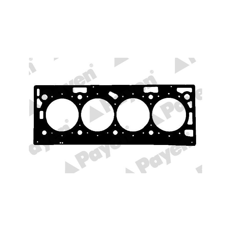 Guarnizione testata - PAYEN