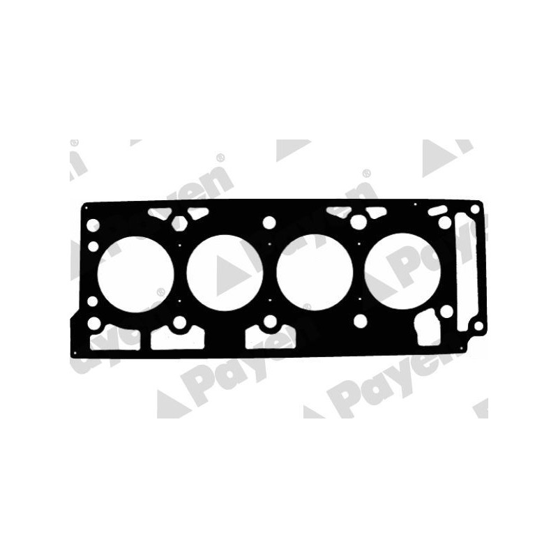 Guarnizione testata - PAYEN