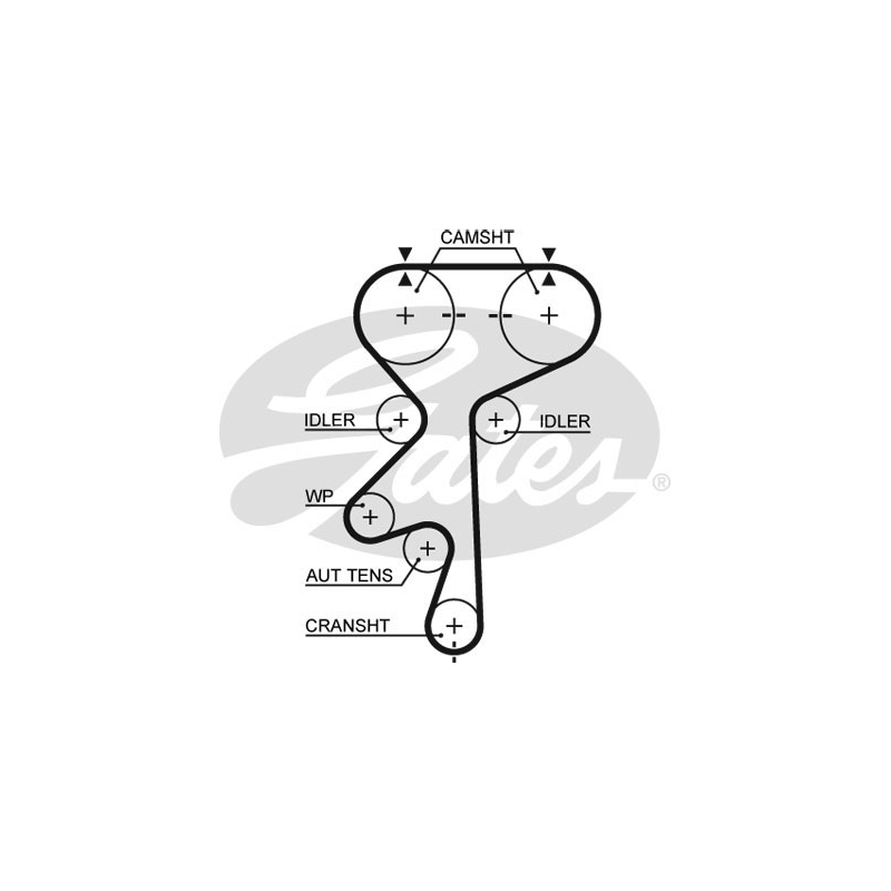 Kit distribuzione - GATES