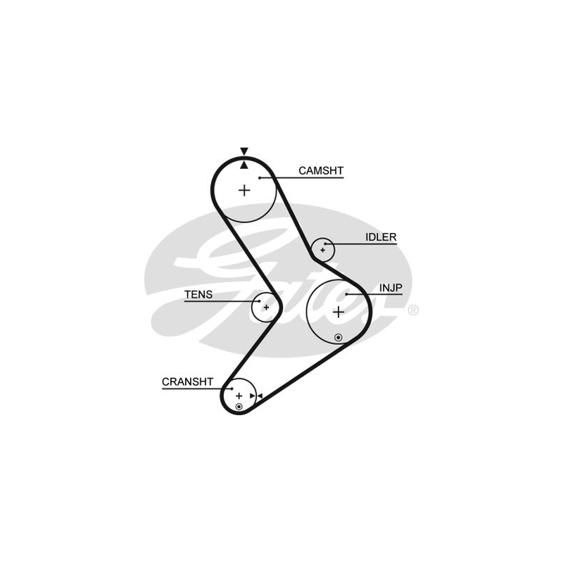 Kit distribuzione - GATES