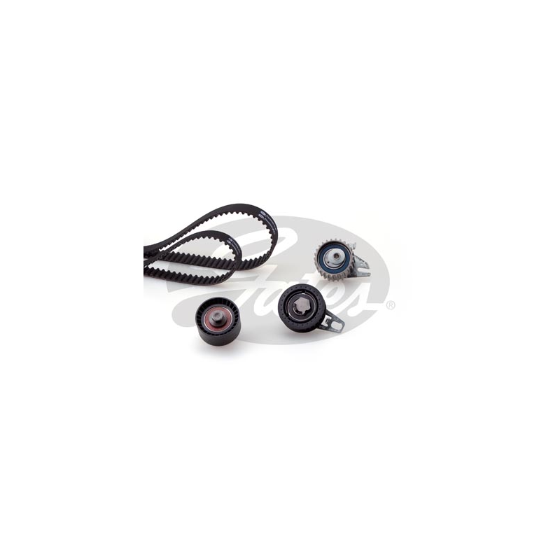 Kit distribuzione - GATES