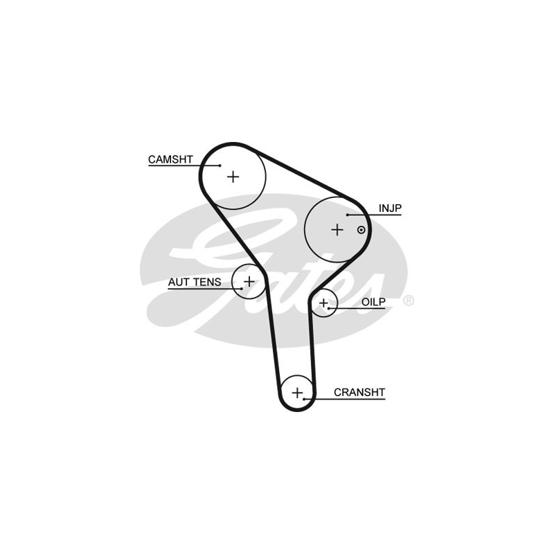 Kit distribuzione - GATES