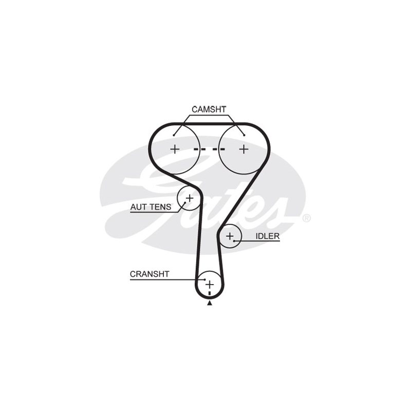 Cinghia/catena distribuzione - GATES