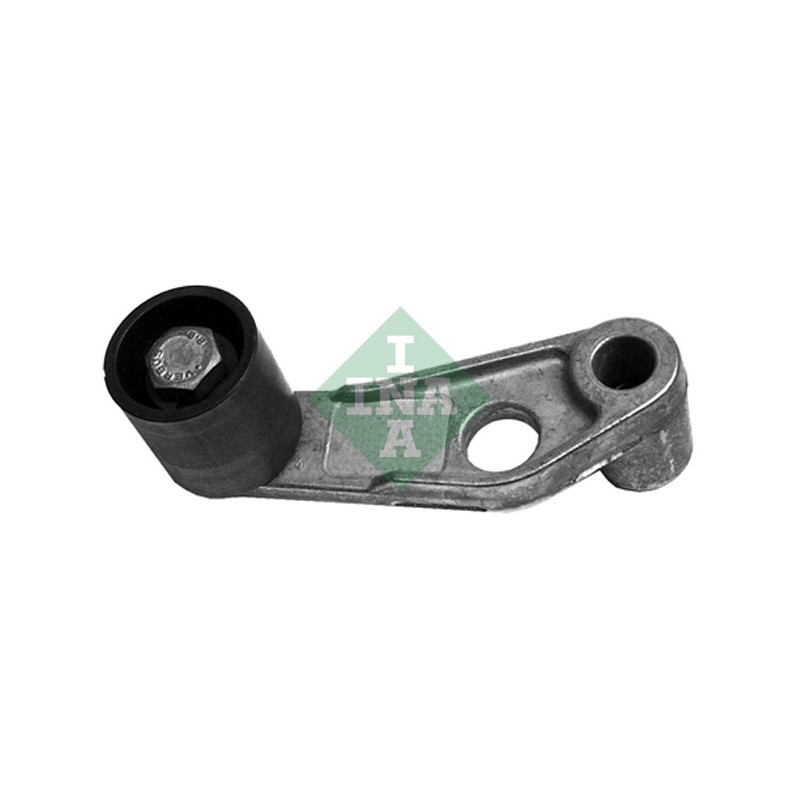 Tendicinghia distribuzione - INA