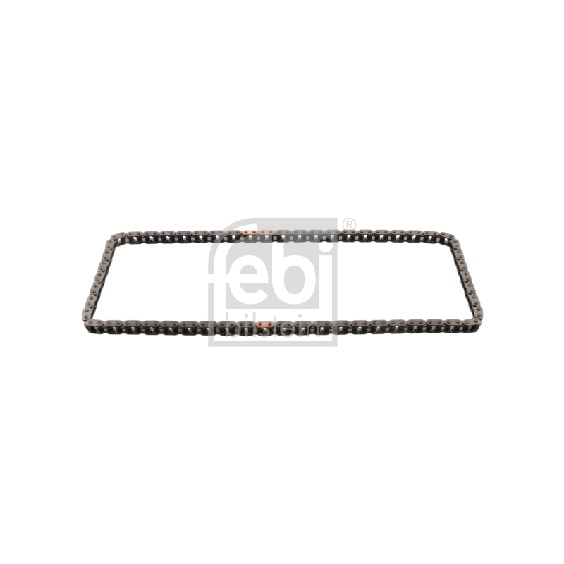 Cinghia/catena distribuzione - FEBI