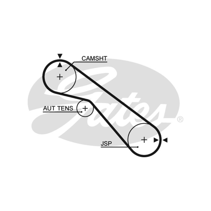Cinghia/catena distribuzione - GATES
