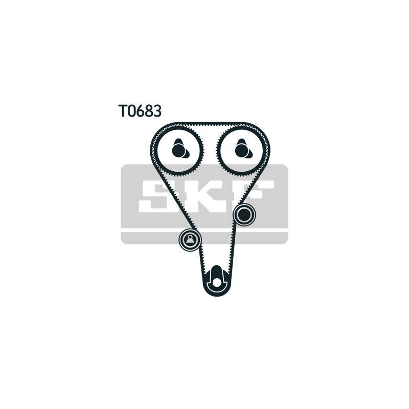 Kit distribuzione - SKF