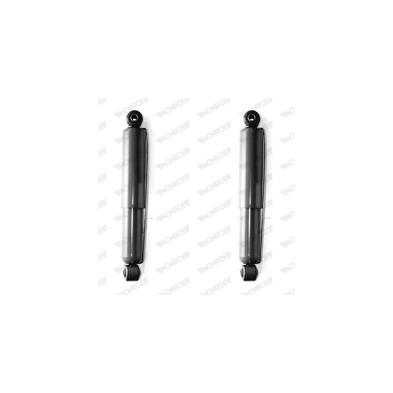 Ammortizzatore asse posteriore - MONROE