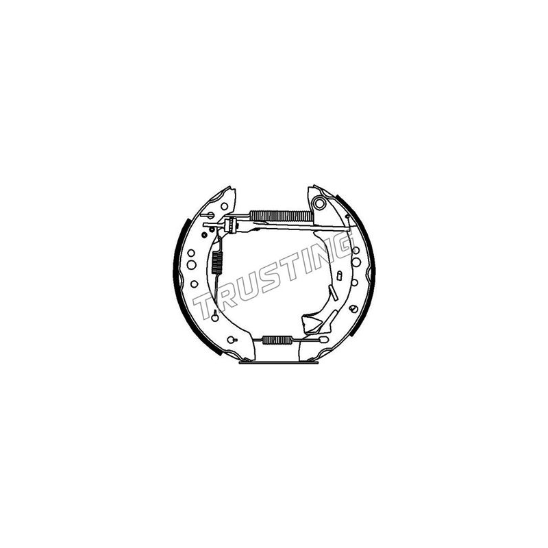 Pastiglie freno asse anteriore - TRUSTING