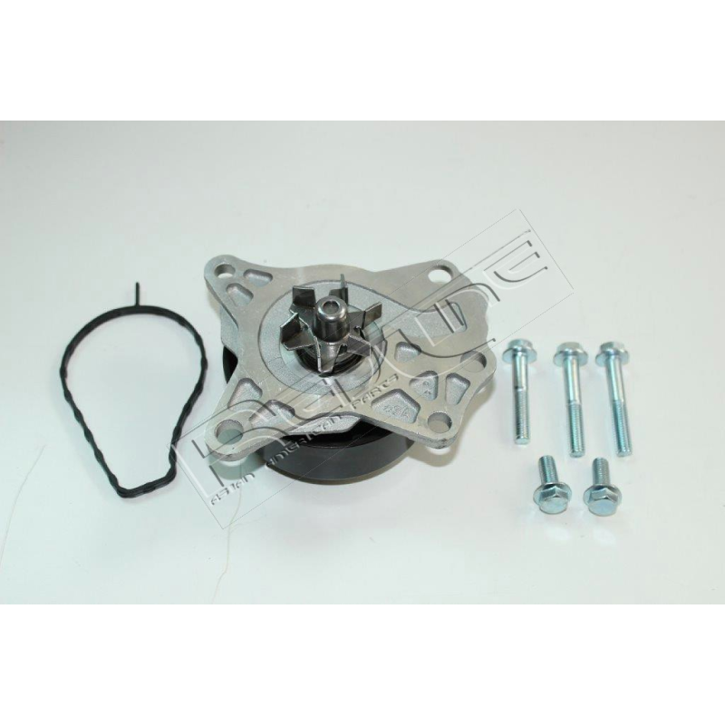 Pompa acqua - BBF-RED LINE