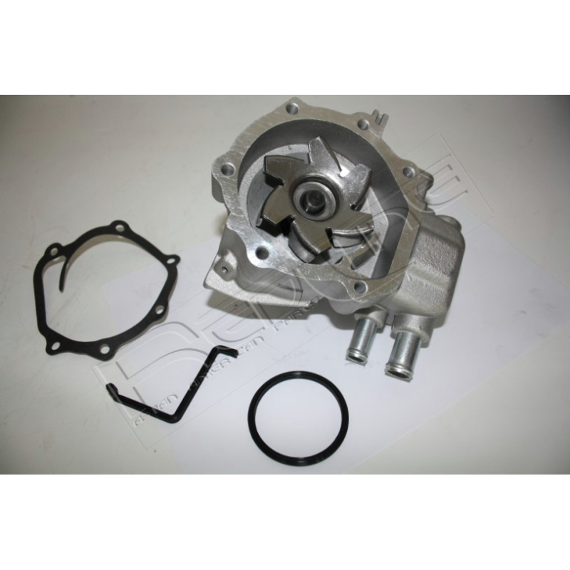 Pompa acqua - BBF-RED LINE