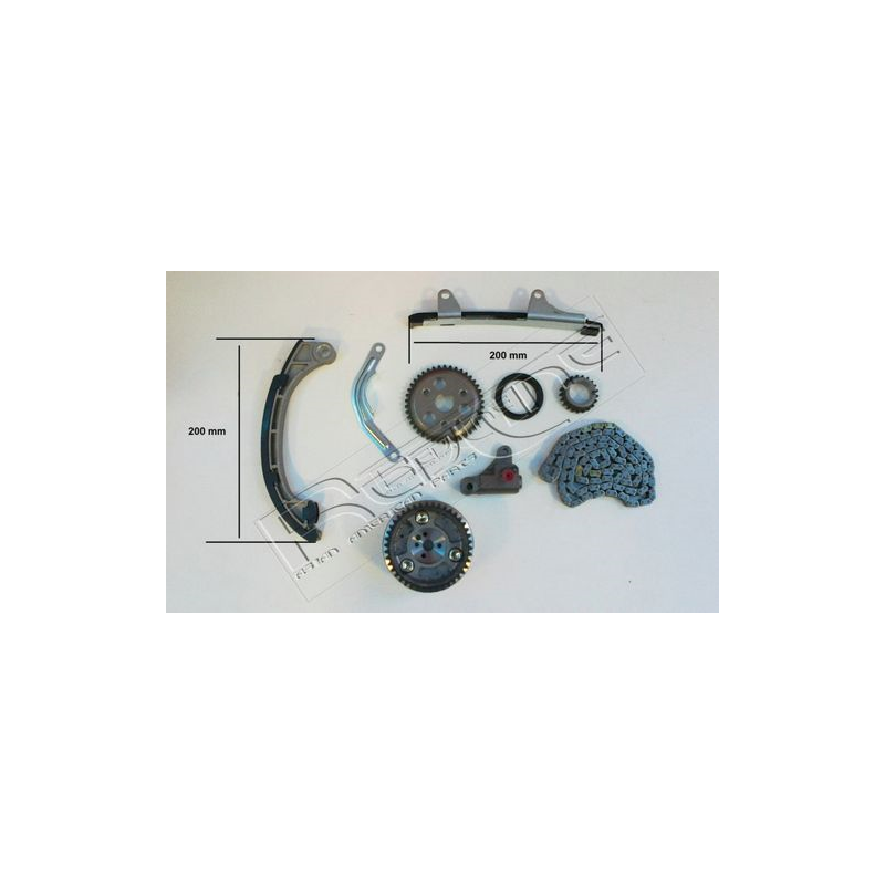 Tendicinghia distribuzione - BBF-RED LINE