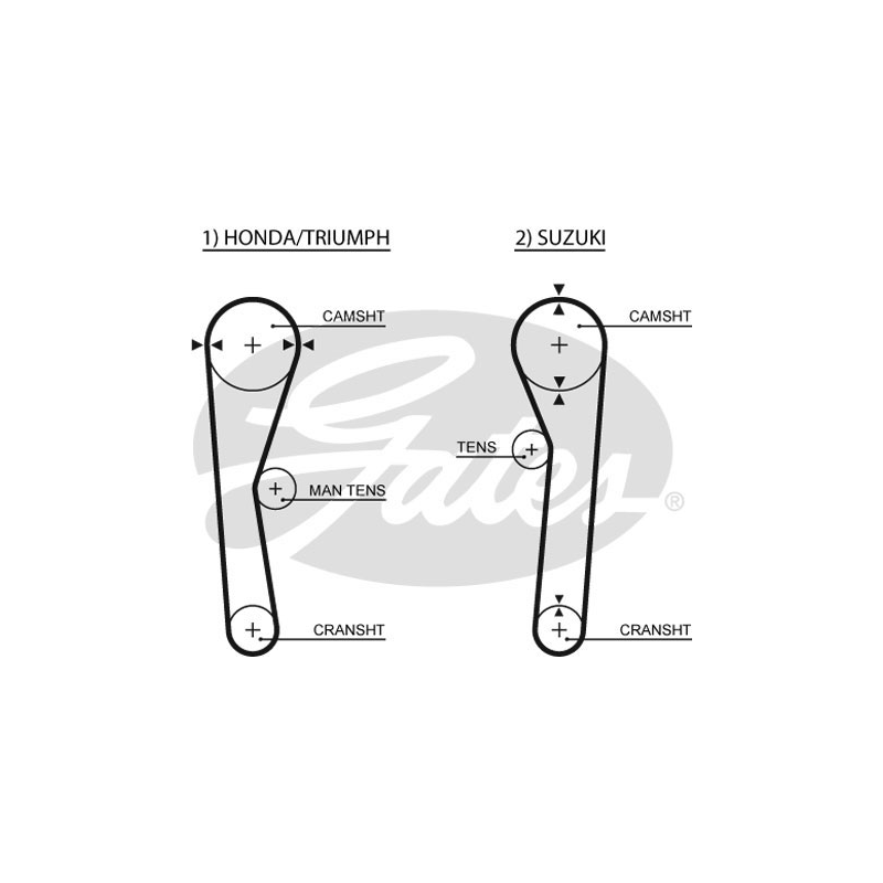 Cinghia/catena distribuzione - GATES