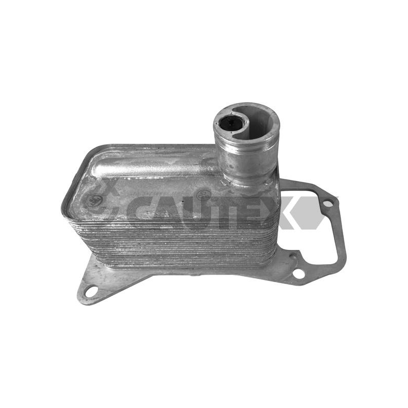 Radiatore olio motore - CAUTEX GOMMA E PARTI MOTORE