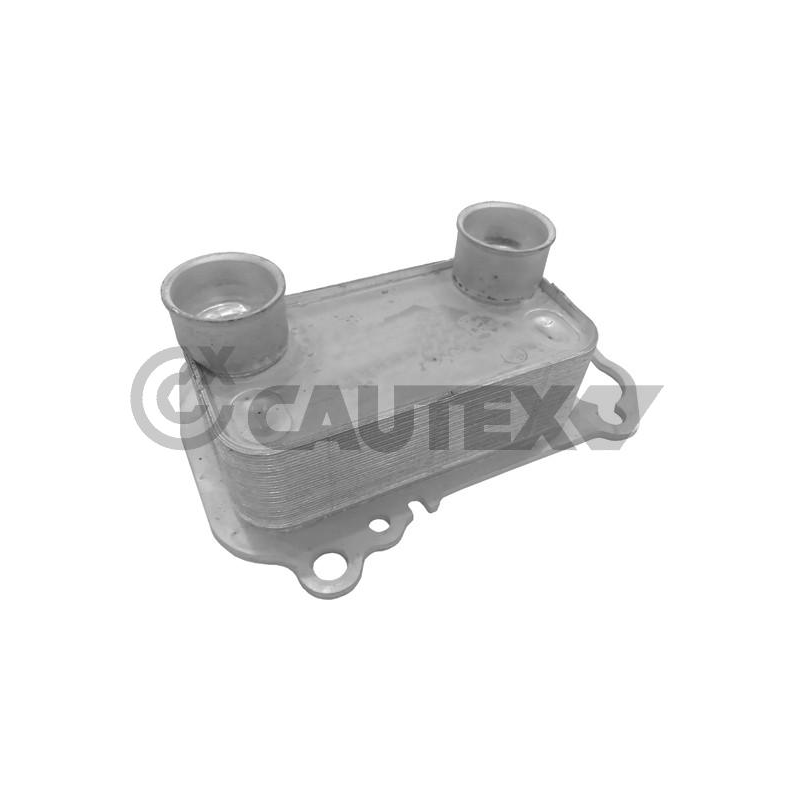 Radiatore olio motore - CAUTEX GOMMA E PARTI MOTORE