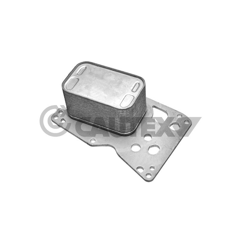 Radiatore olio motore - CAUTEX GOMMA E PARTI MOTORE