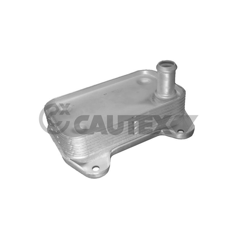 Radiatore olio motore - CAUTEX GOMMA E PARTI MOTORE