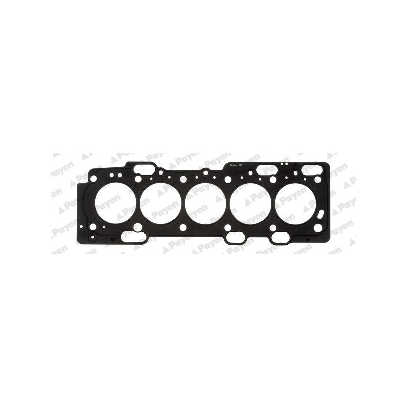 Guarnizione testata - PAYEN