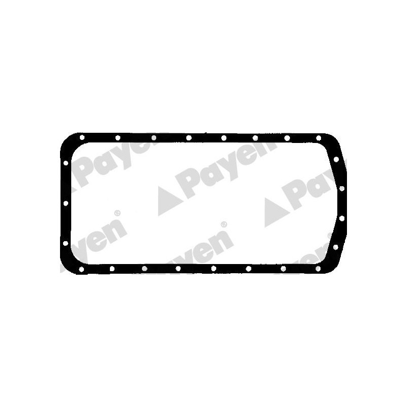 Tendicinghia trapezoidale - PAYEN
