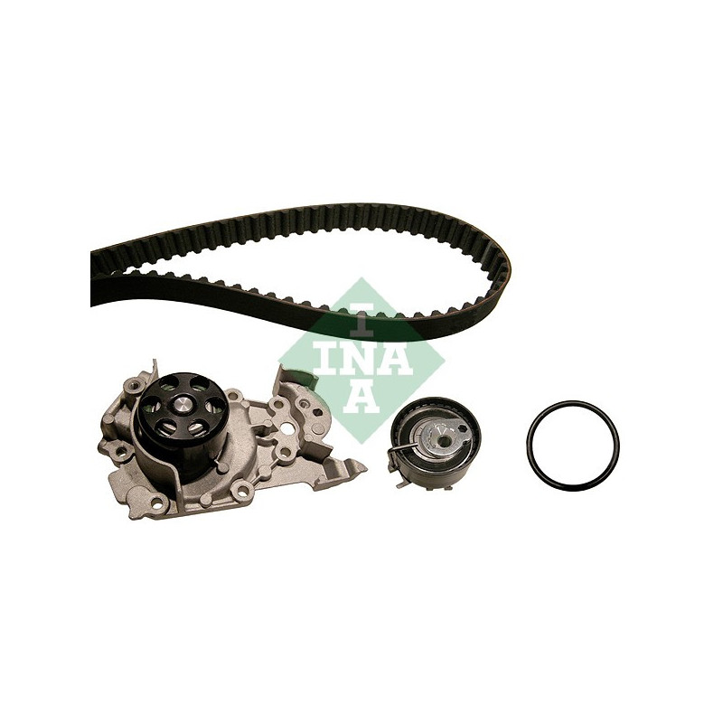 Kit distribuzione - INA