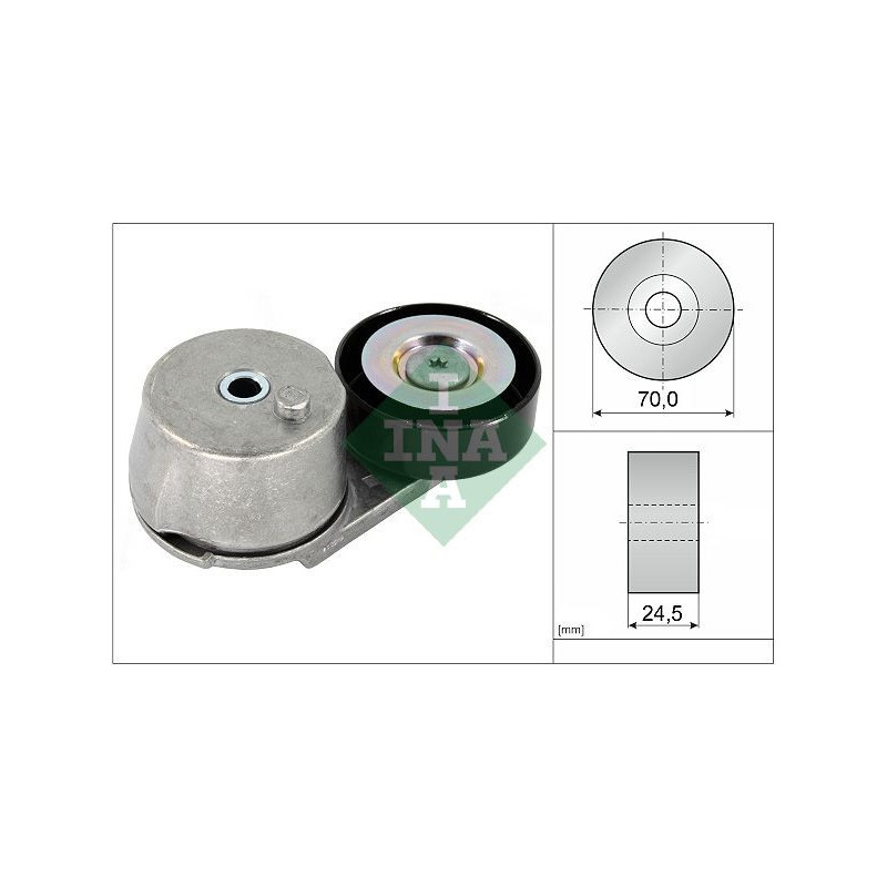 Tendicinghia trapezoidale - INA