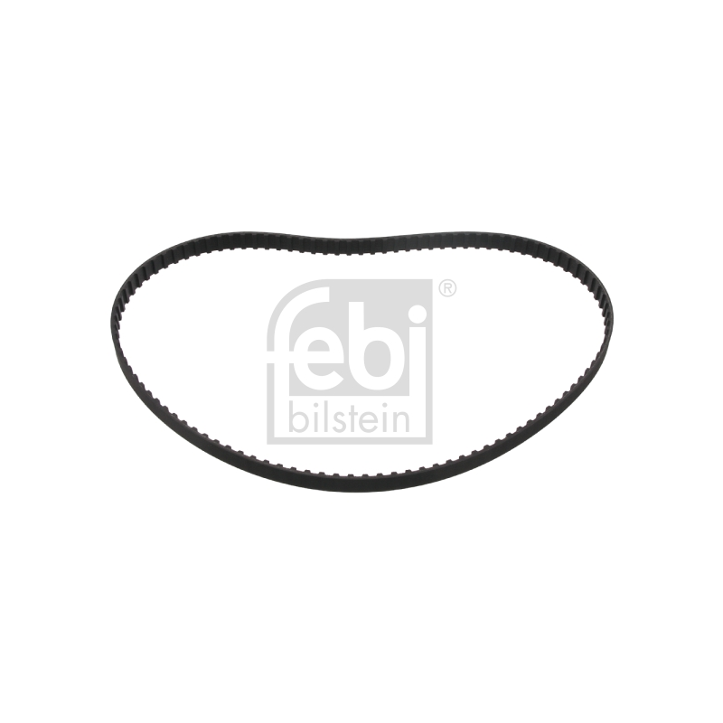 Cinghia/catena distribuzione - FEBI