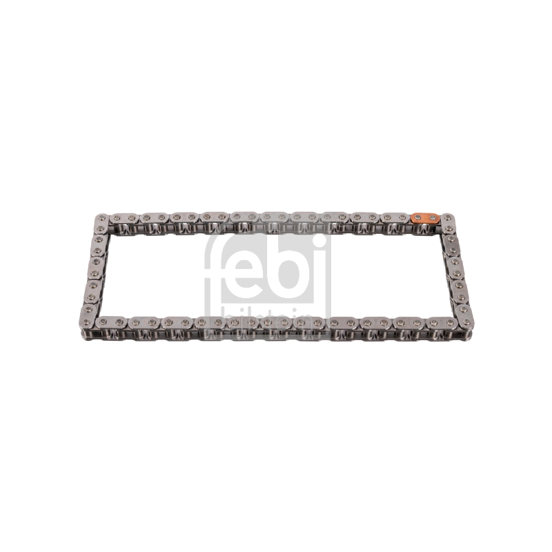 Cinghia/catena distribuzione - FEBI