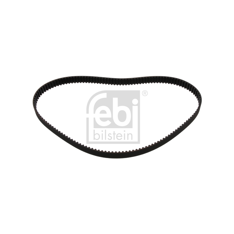 Cinghia/catena distribuzione - FEBI