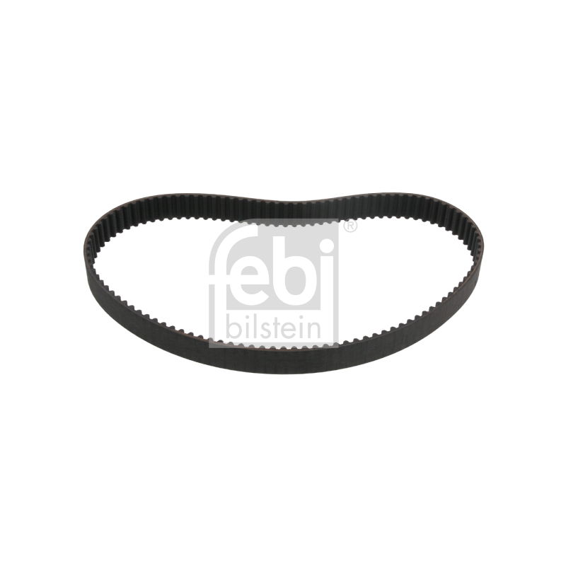Cinghia/catena distribuzione - FEBI