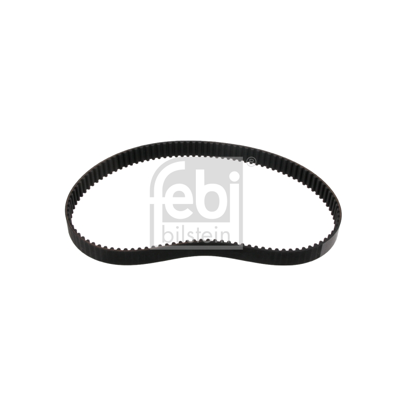 Cinghia/catena distribuzione - FEBI