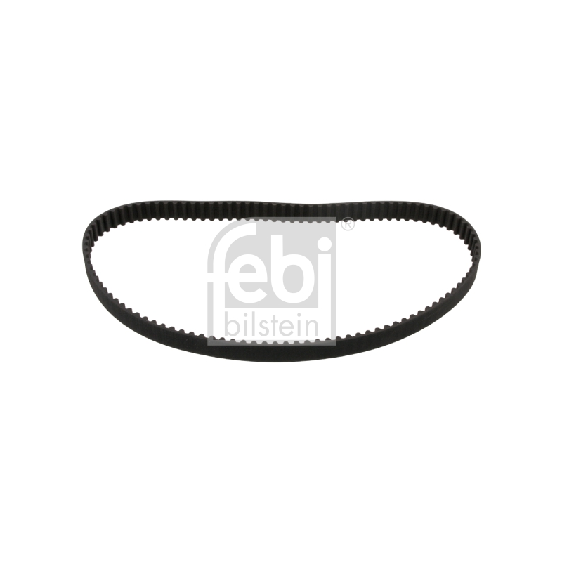 Cinghia/catena distribuzione - FEBI