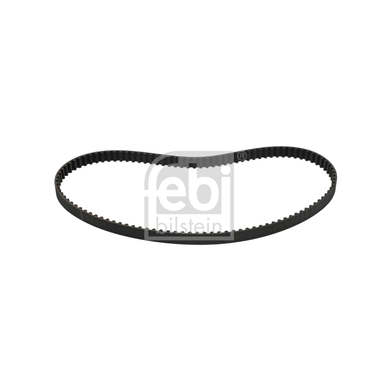 Cinghia/catena distribuzione - FEBI