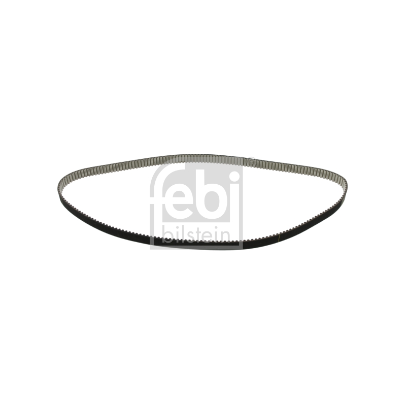Cinghia/catena distribuzione - FEBI
