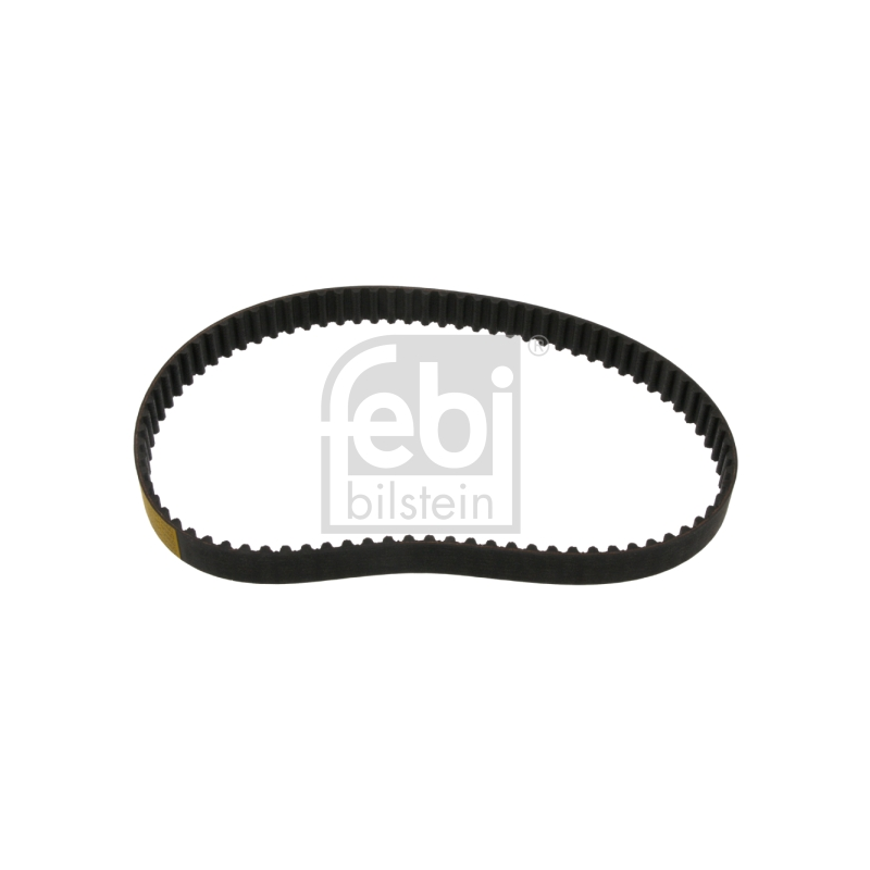 Cinghia/catena distribuzione - FEBI