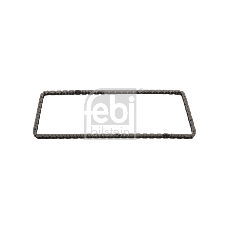 Cinghia/catena distribuzione - FEBI