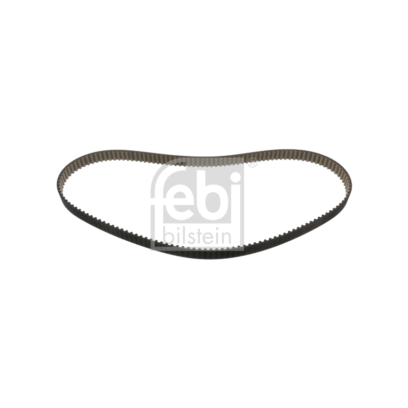 Cinghia/catena distribuzione - FEBI