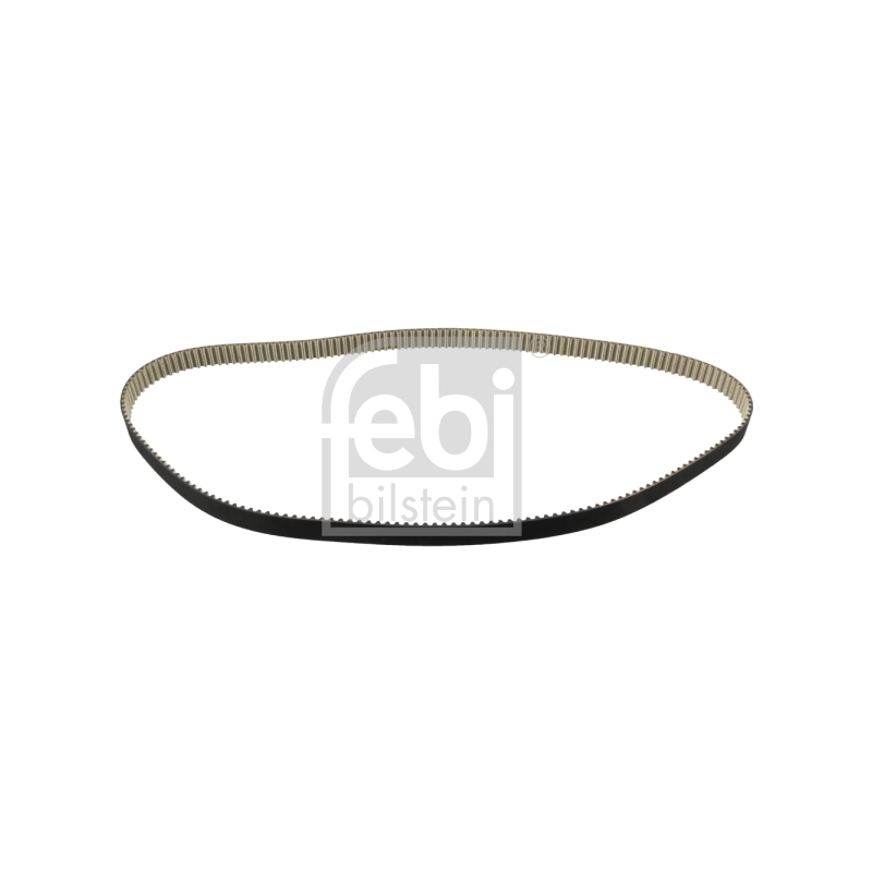 Cinghia/catena distribuzione - FEBI