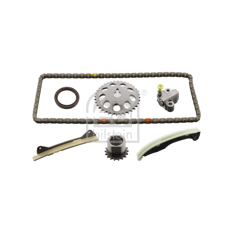 Cinghia/catena distribuzione - FEBI