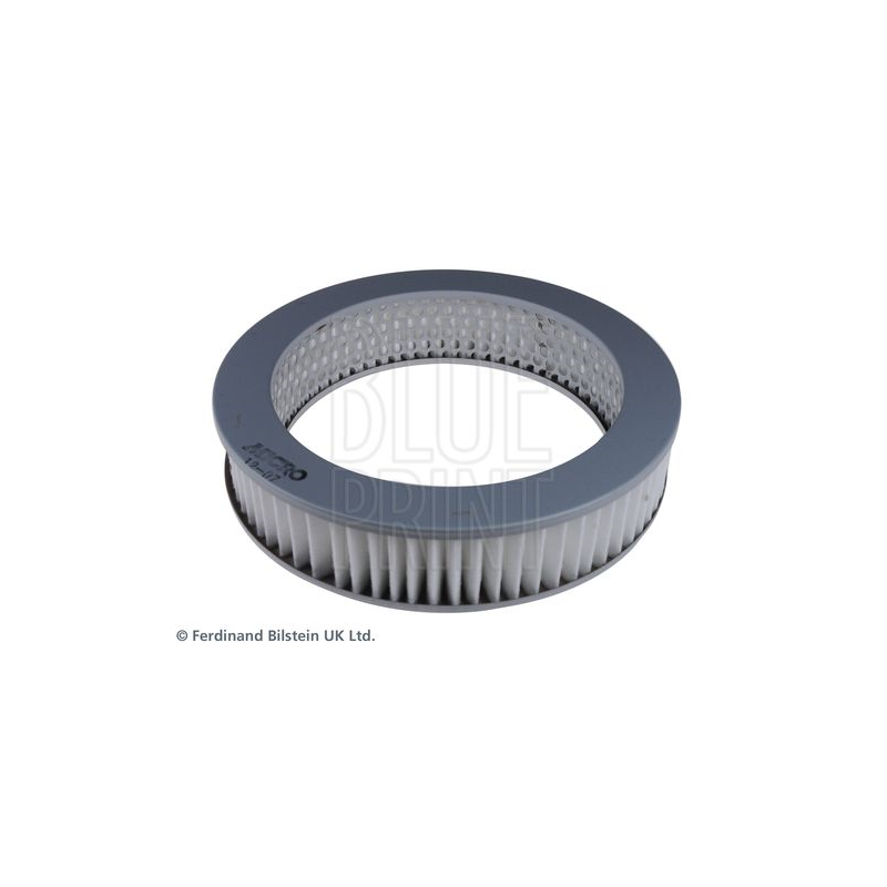 Filtro aria - BLUE PRINT