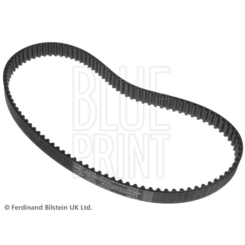 Cinghia/catena distribuzione - BLUE PRINT