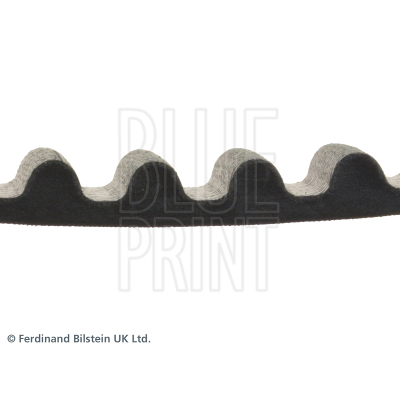 Cinghia/catena distribuzione - BLUE PRINT