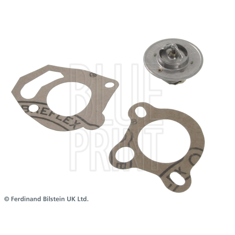 Termostato raffreddamento - BLUE PRINT