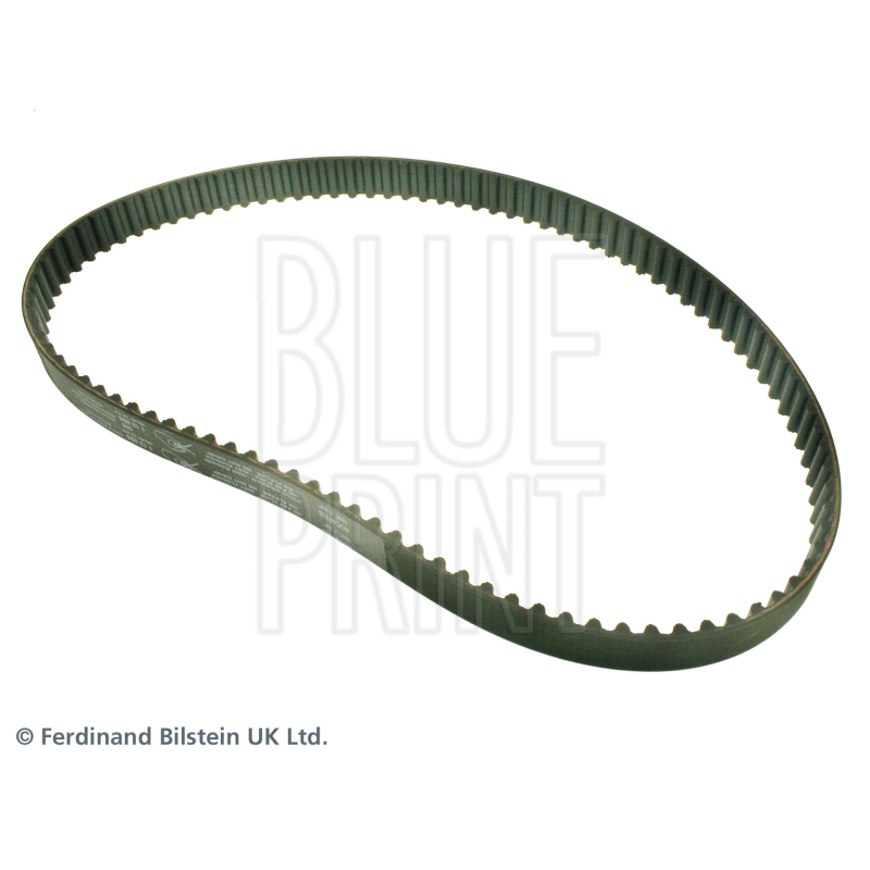 Cinghia/catena distribuzione - BLUE PRINT