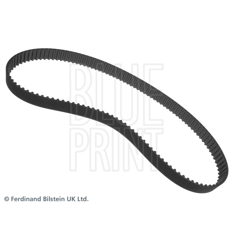 Cinghia/catena distribuzione - BLUE PRINT