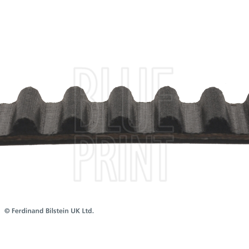Cinghia/catena distribuzione - BLUE PRINT