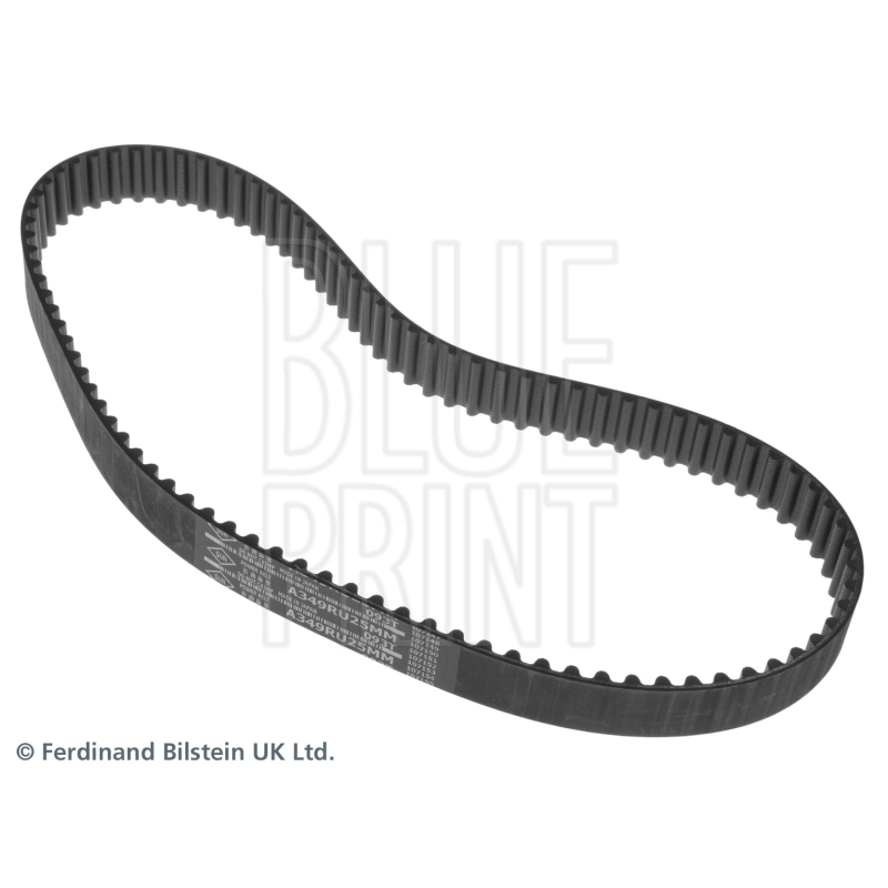 Cinghia/catena distribuzione - BLUE PRINT