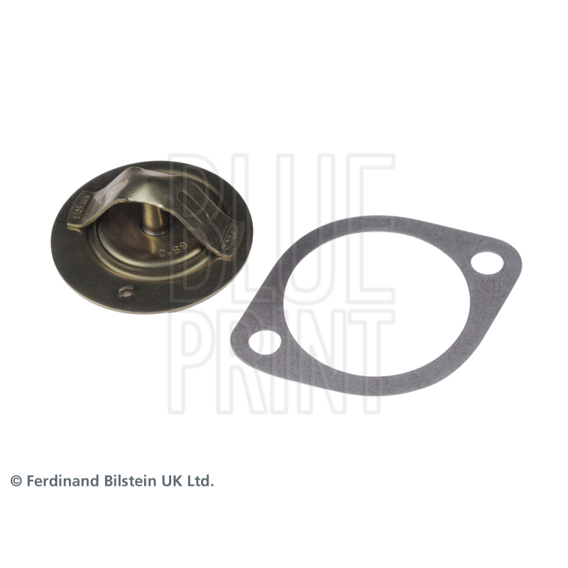 Termostato raffreddamento - BLUE PRINT