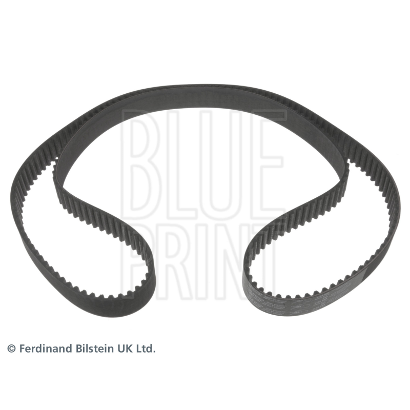 Cinghia/catena distribuzione - BLUE PRINT